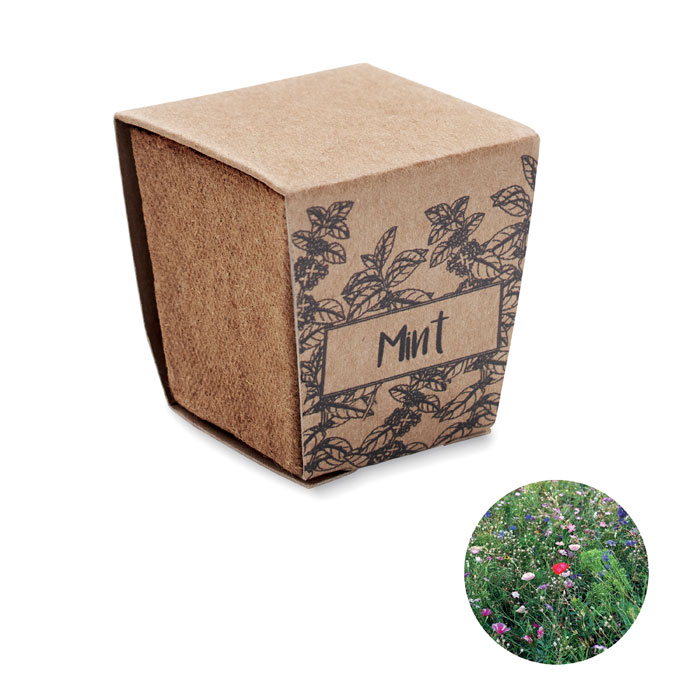 Mint seeds growing kit with your logo
