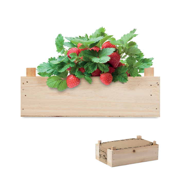 Strawberry growing kit in wooden crate with your logo