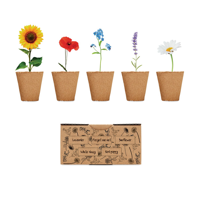 Growing kit with your logo