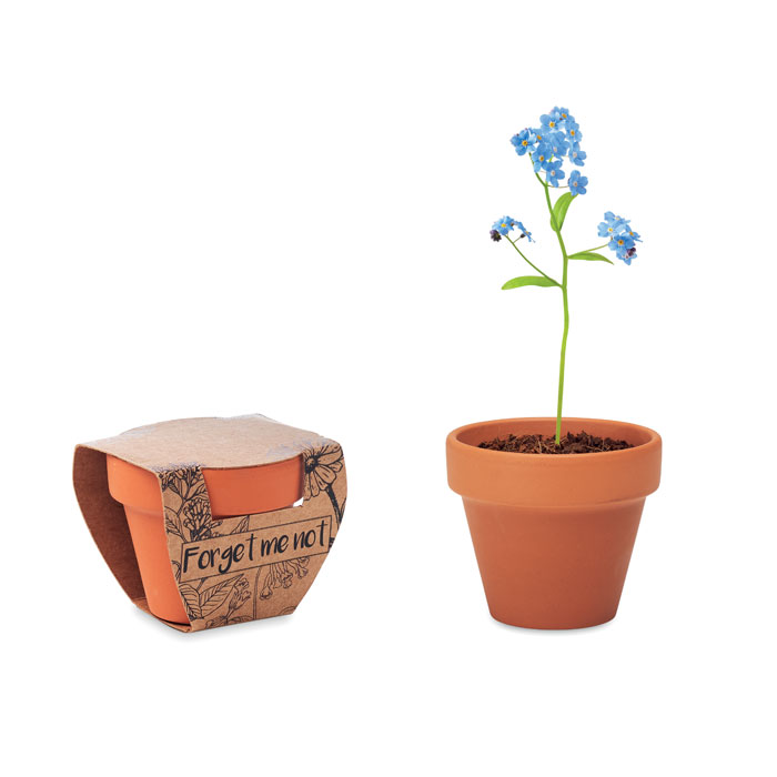 Terracotta pot with seeds with your logo